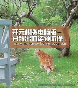 开元棋牌电脑版